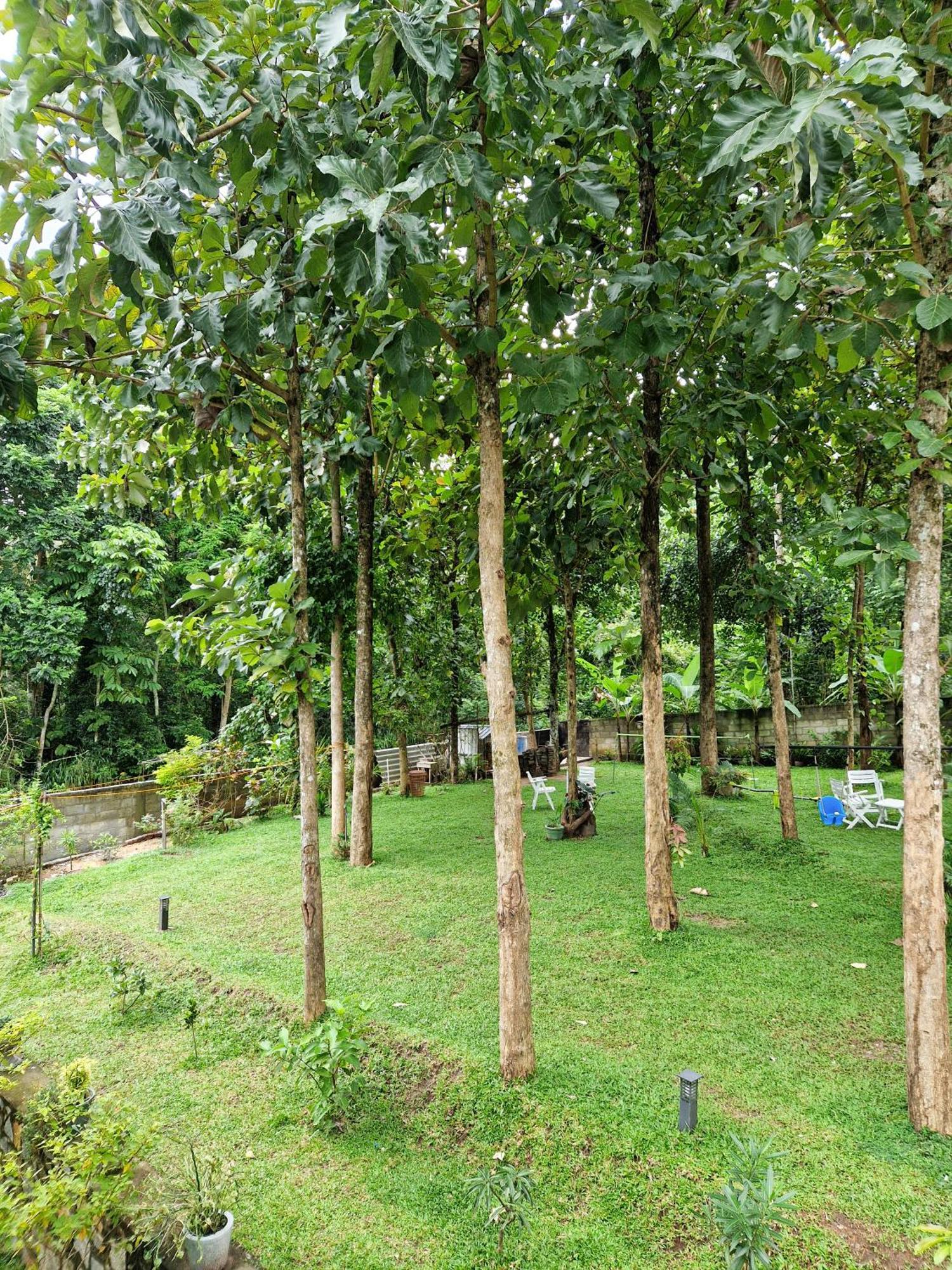 Villa Sole Kandy Exterior photo